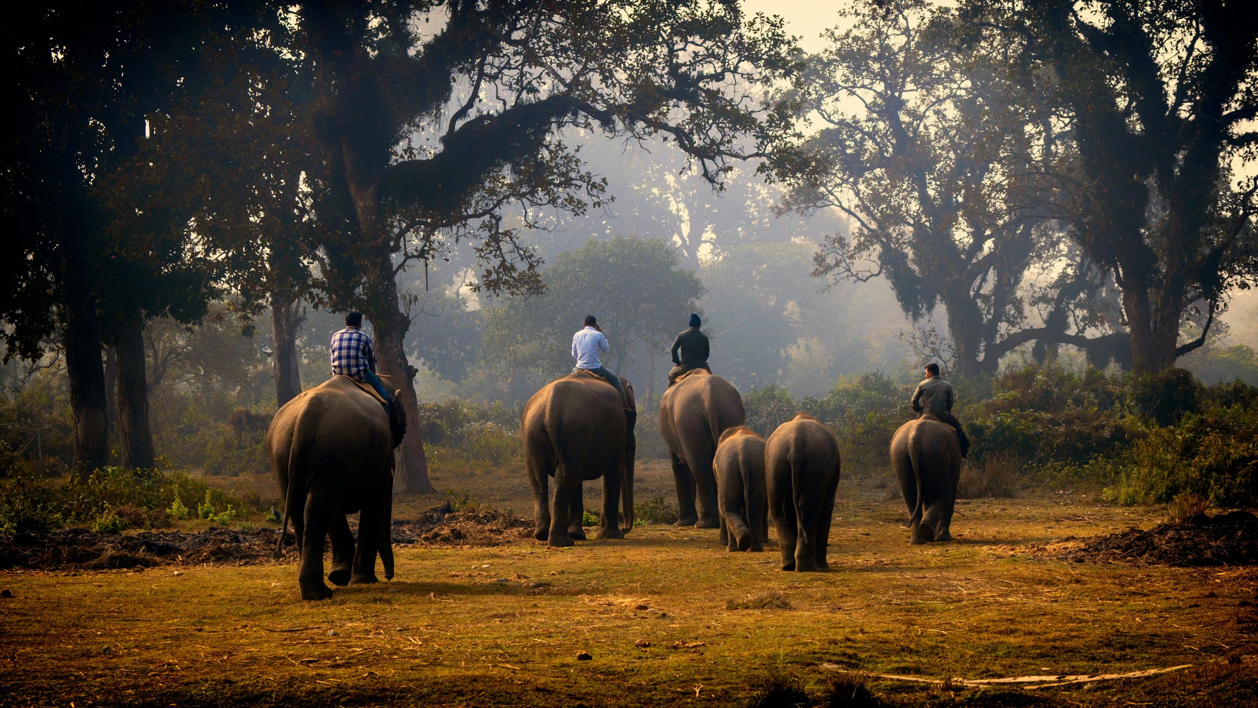 Chitwan Jungle Safari Tour
