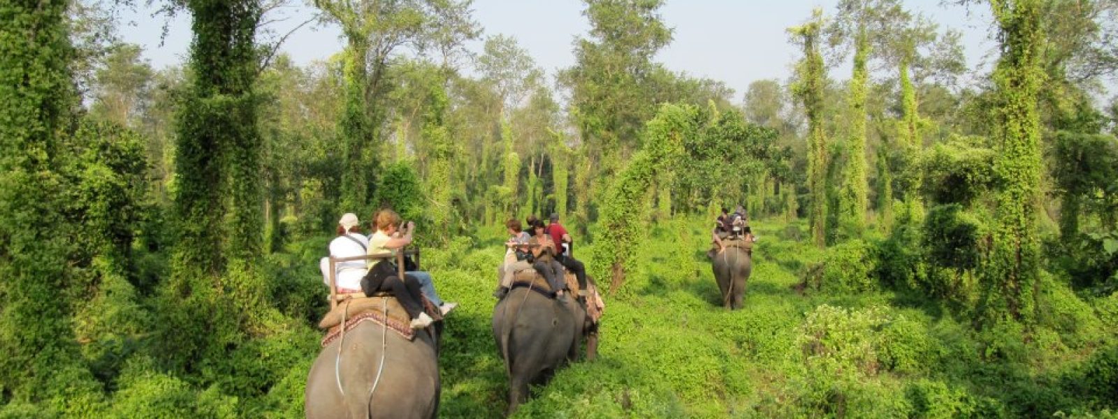 Wildlife Safari Places