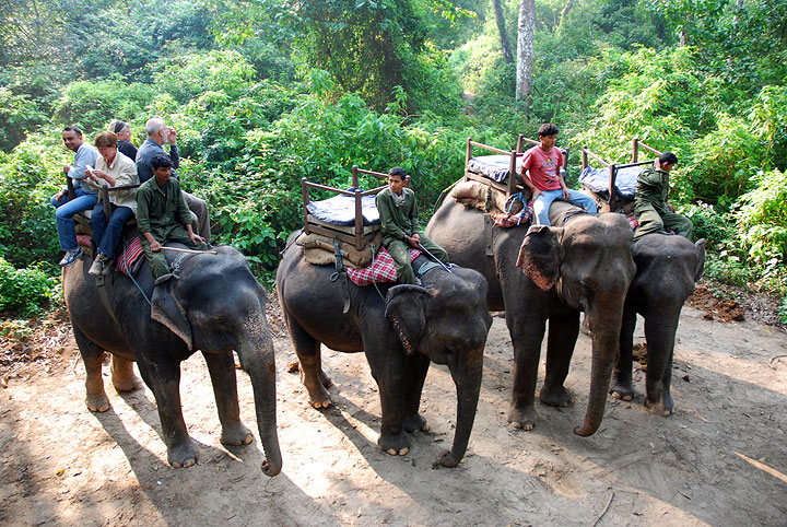 Chitwan Jungle Safari Tour