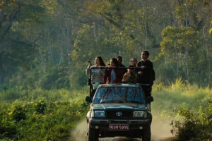 Chitwan Jungle Safari Tour